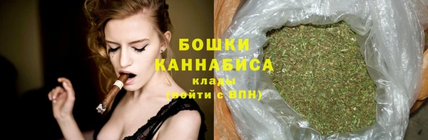 ECSTASY Дмитриев