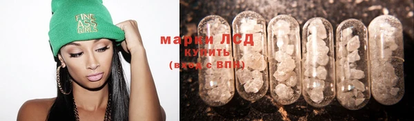 PSILOCYBIN Дмитров