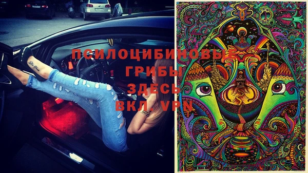 PSILOCYBIN Дмитров