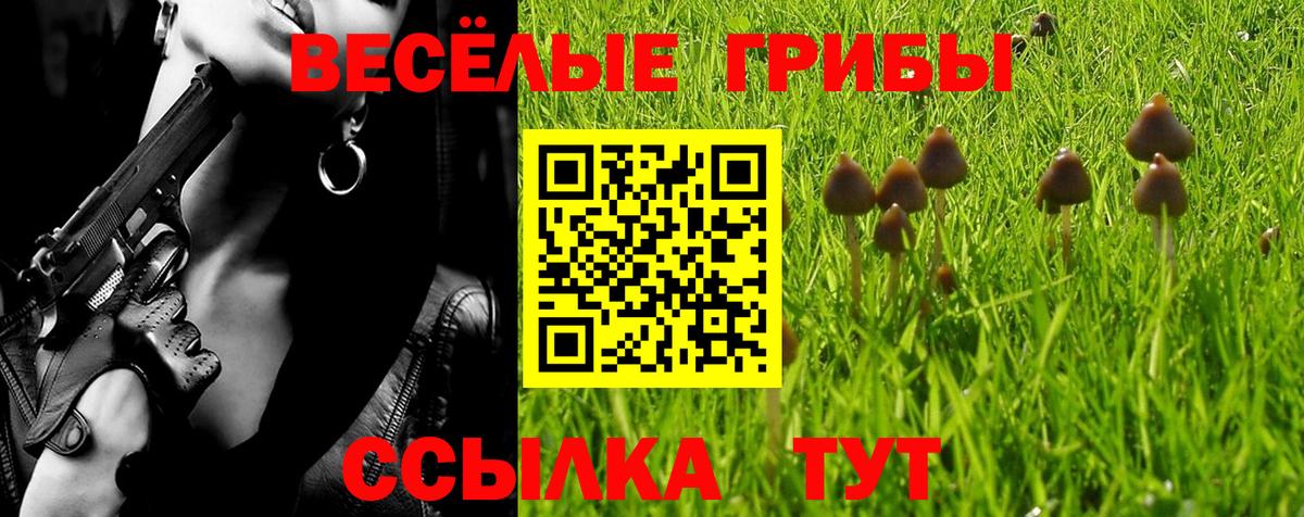 Галлюциногенные грибы ЛСД Архангельск